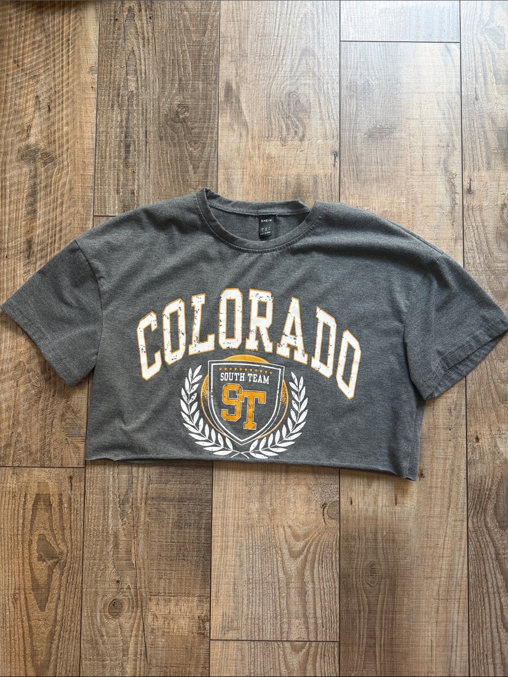 SHEIN gray cropped tee